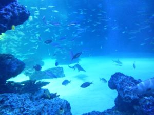 20120327230155_94040_1
