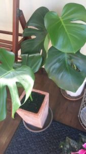 20171222191834_275180_1